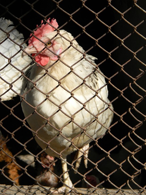 球迷们都在 球迷们都在