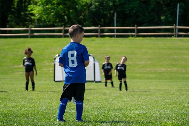 防守稳固的 防守稳固的