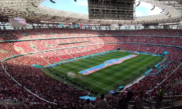 也为年轻球 也为年轻球