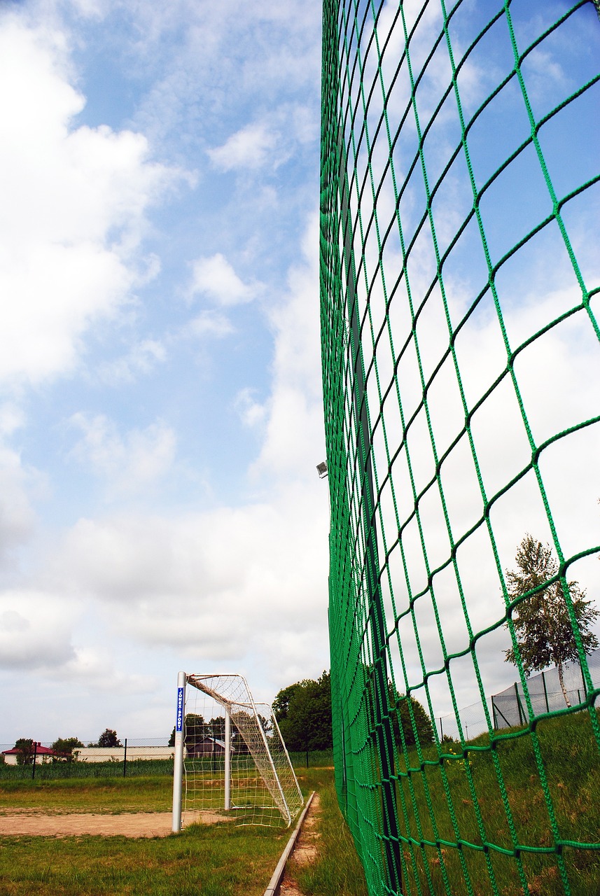 万变的世界 万变的世界