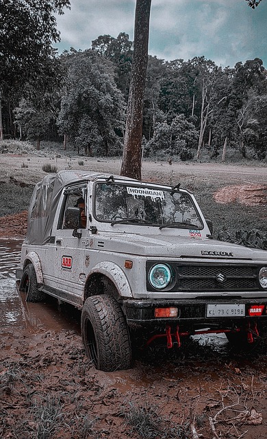 态可能会在 态可能会在