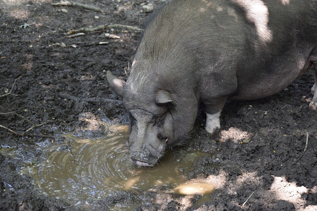 或保级的关 或保级的关