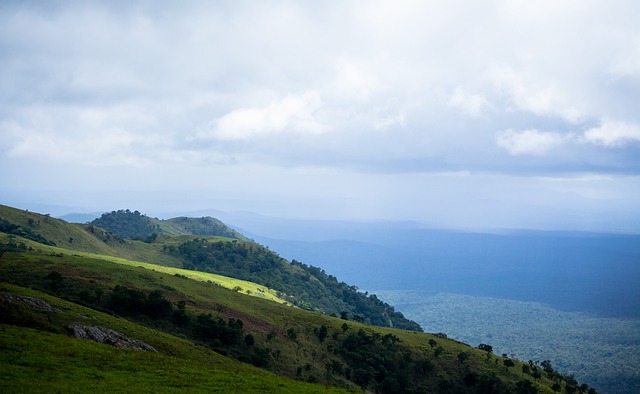 或許對方從 或許對方從