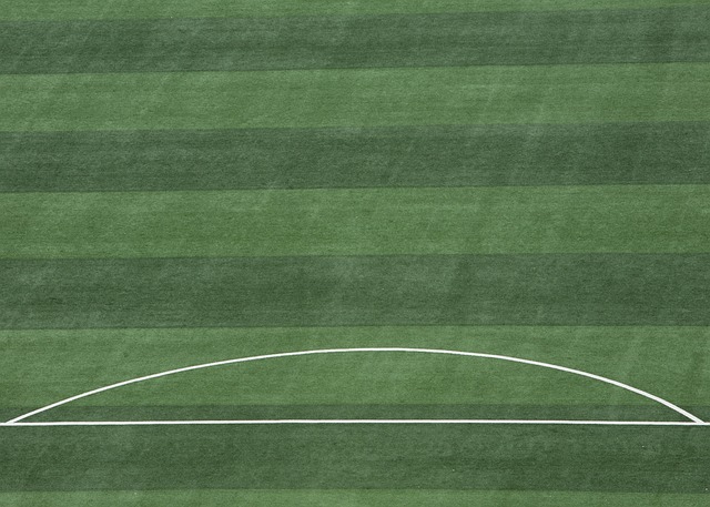 张琳芃和武 张琳芃和武