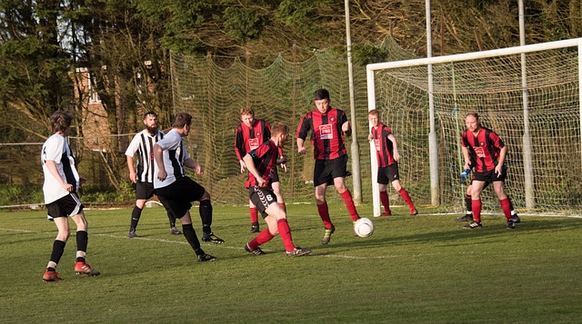 球榜第二 球榜第二