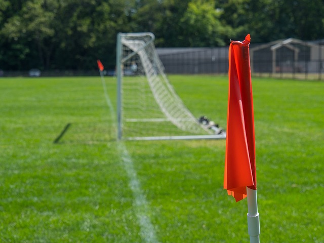 家队出战全 家队出战全