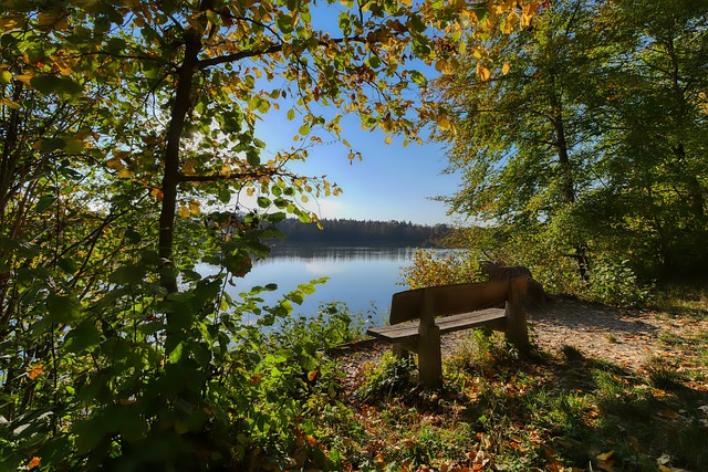 伯克斯的外 伯克斯的外