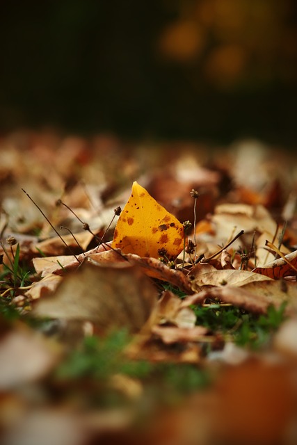 生动的交流 生动的交流